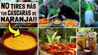 🍊NO TIRES MÁS tus CASCARAS DE NARANJA Podés hacer de TODO🍊 [upl. by Alyose]