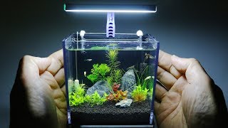 The Worlds Smallest Plant Aquarium 1 [upl. by Morez]