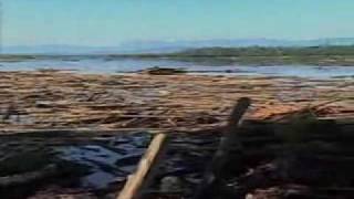 Papua New Guinea Tsunami 1998 [upl. by Onitnas]