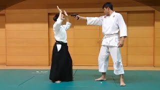 10 SelfDefense moves You MUST Know  Aikido Martial Art [upl. by Hanonew]