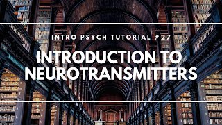 Introduction to Neurotransmitters Intro Psych Tutorial 27 [upl. by Yerdna]