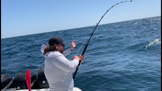 Yellowfin Tuna Fishing with VooDoo Charters in Venice LA [upl. by Cecilio]