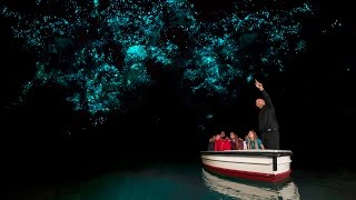 Discover Waitomo Glowworm Caves  New Zealand [upl. by Manella714]