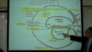 INTRO TO HUMAN EMBRYOLOGY PART 1 by Professor Fink [upl. by Traweek]