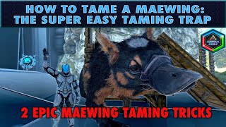 How to Tame a Maewing in Ark Genesis  The SUPER EASY Maewing Taming Trap [upl. by Slocum]