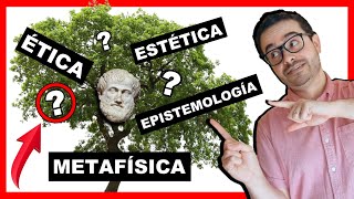 ðŸŒ³ Las RAMAS DE LA FILOSOFIÌA â–º 193 Disciplinas FASCINANTESðŸ˜Ž [upl. by Henrie]