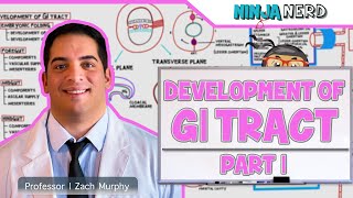 Gastrointestinal  Development amp Embryology of the GI Tract Part 1 [upl. by Ylliw515]