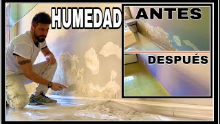 CÓMO REPARAR UNA PARED CON HUMEDAD te explico cómo pintar paredes con HUMEDADES paso a paso FÁCIL⭐️ [upl. by Attenrad]