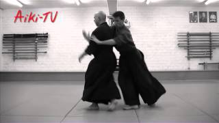 Yoseikan Aikijujutsu demonstration by Hugo Chauveau [upl. by Crean542]