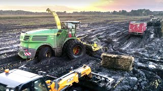 FORAGE HARVESTER in the MUD  2020 Corn Silage in France  Short History [upl. by Barolet]