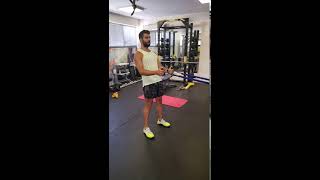 Resistance Band Rows Exercise [upl. by Ssegrub414]