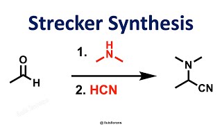 Strecker Synthesis [upl. by Ennaeilsel245]