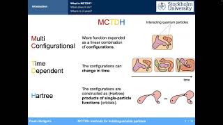 MCTDHX Lecture 1 [upl. by Aneles]