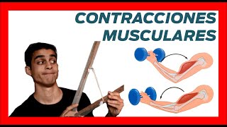 💪 Tipos CONTRACCIONES MUSCULARES ❗❗ Ejemplos concentricas y excentricas [upl. by Eelymmij]