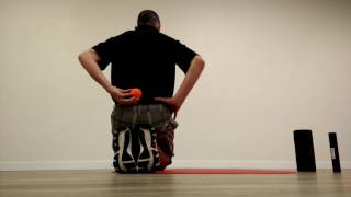 Low back painspinal release  Lacrosse Ball  Travis Dodds Physio [upl. by Treve]