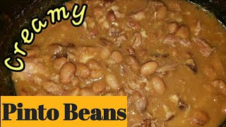 Pinto Beans creamy style  How you make it [upl. by Amzu]