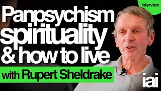 Panpsychism spirituality and consciousness  Rupert Sheldrake [upl. by Ani]