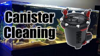 How to Clean Fluval FX6 Canister Filters Quick amp Simple [upl. by Eseilenna988]