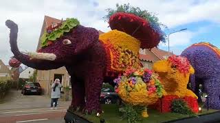 Flower parade Bloemencorso 2024 [upl. by Talbott]