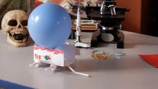 Demonstrate Newtons Third Law of Motion  Science Projects [upl. by Tsirc833]