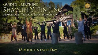 易筋經 · Yi Jin Jing with Guided Breathing · inkl Anleitung [upl. by Ssirk]