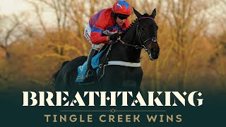 FIVE BREATHTAKING TINGLE CREEK VICTORIES [upl. by Nonnahc341]