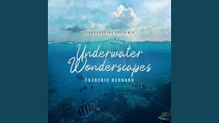 Underwater Wonderscapes [upl. by Harness]