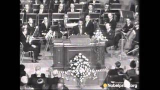 Martin Luther King Jr Nobel Peace Prize Acceptance Speech [upl. by Nelo194]