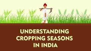 Understanding Cropping Seasons in India  Kharif Rabi Zaid  Factly [upl. by Anelad]