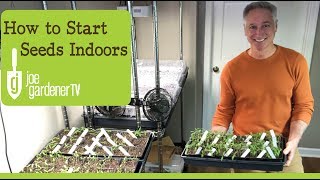 How I Start Seeds Indoors Tips amp Techniques [upl. by Farrington]