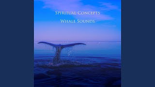 Ocean Whale Song [upl. by Nivat]