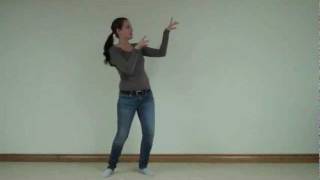 Michael Jackson Thriller Dance Tutorial PART 1 [upl. by Levin]