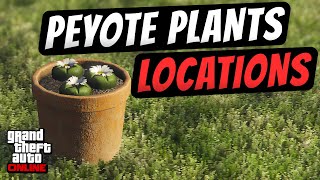 GTA Online Peyote Plant Locations Map Guide  ALL PEYOTE LOCATIONS Level Up RP Fast [upl. by Scrivenor]