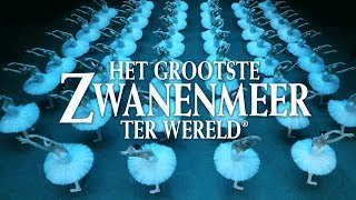 Het Grootste Zwanenmeer ter Wereld  Highlights [upl. by Laehcimaj]