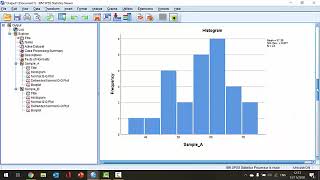 How To Test for Normality in SPSS [upl. by Lartnom]