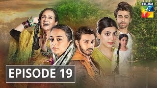 Udaari Episode 19 HUM TV Drama [upl. by Hanahsuar]