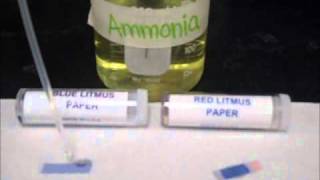 Testing Acids amp Bases on Litmus Paper [upl. by Acinelav]