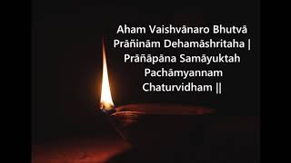 Sanskrit Sloka  Brahmarpanam Food Prayer [upl. by Haleelahk]