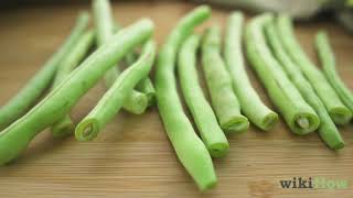 Comment Conserver Les Haricots Verts Frais [upl. by Anesor]