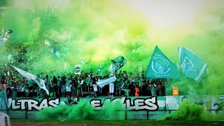 ULTRAS OF RAJA CASABLANCA SINGING FOR PALESTINE With Translation [upl. by Anelra]