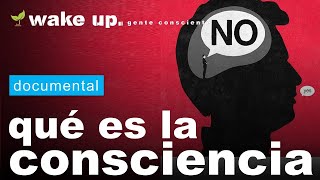 Explicación científica de la Consciencia [upl. by Blaseio]