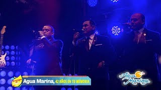 Agua Marina  Mi Complice Ni la Distancia Regresa Amor Baila Mi Cumbia [upl. by Eberto492]