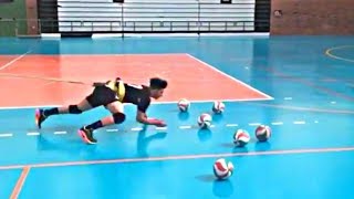 Best Libero Volleyball Trainings 2018 HD [upl. by Namyaw]