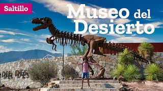 Museo del Desierto en Saltillo Coahuila [upl. by Eckart]