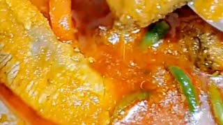 spicy Hilsa fish curry recipe 🔥 [upl. by Kella]