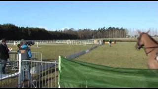 Coursing Clonmel 2011 [upl. by Htebyram670]