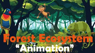 FOREST ECOSYSTEM  Biology Animation [upl. by Harp875]