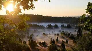 Meine 5 schönsten Sonnenaufgänge [upl. by Tannenbaum688]