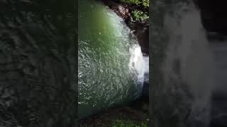 Exploring the 7 Sisters Waterfall Grenada 🇬🇩 [upl. by Artus]