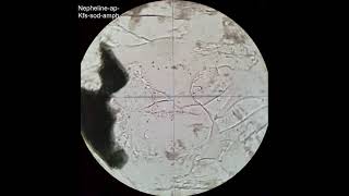 Nepheline tutorial Optical mineralogy [upl. by Ahsinahs]